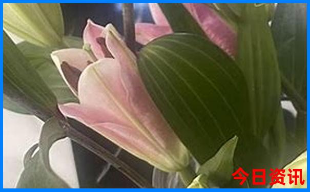 洛阳暑假带孩子去哪里玩