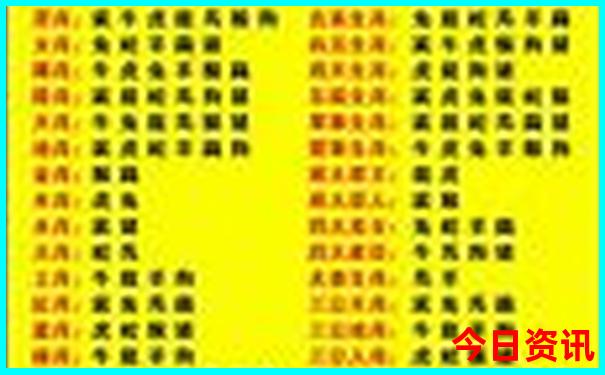 成都有哪些好玩的地方和景点